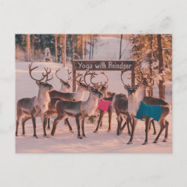Yoga Rendier Kerstmis Briefkaart