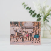 Yoga Rendier Kerstmis Briefkaart (Staand voorkant)