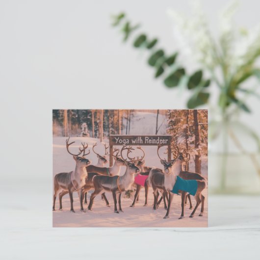 Yoga Rendier Kerstmis Briefkaart (Staand voorkant)