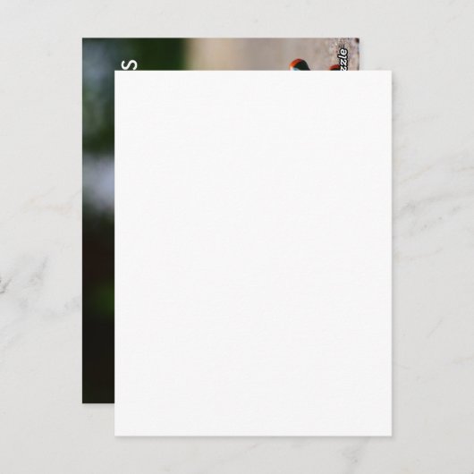 Yoga Rocks Briefkaart (Voorkant / Achterkant)