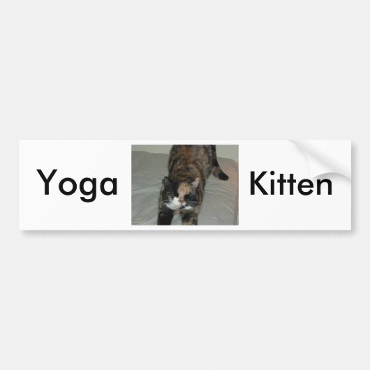 Yoga schildpadkat bumpersticker (Voorkant)