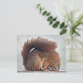 Yoga Squirrel Briefkaart (Staand voorkant)