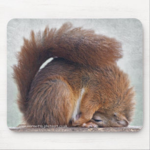 Yoga Squirrel Mousemat Muismat