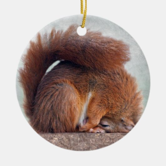 Yoga Squirrel Ornament (Voorkant)