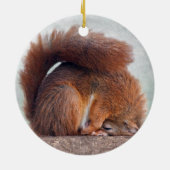 Yoga Squirrel Ornament (Achterkant)