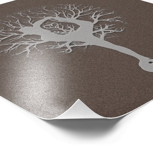 Yoga Tree Foto Afdruk (Hoek)