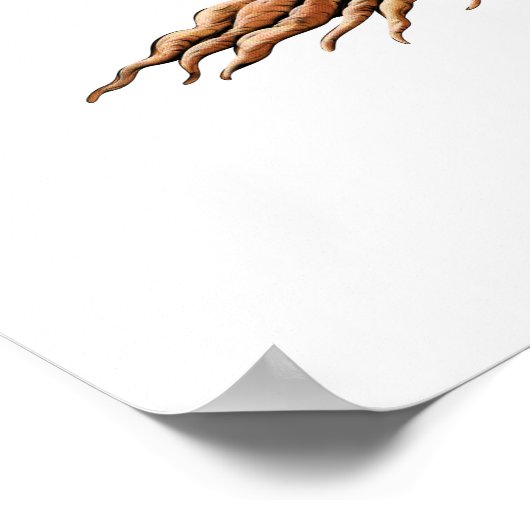 yogaboom van het leven poster (Hoek)