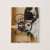 Yogi the Science Dog Legpuzzel (Verticaal)