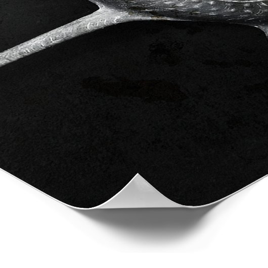 Yoka Shell Poster (Hoek)