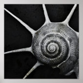 Yoka Shell Poster (Voorkant)