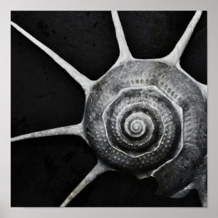 Yoka Shell Poster