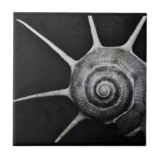 Yoka Shell Tile Tegeltje