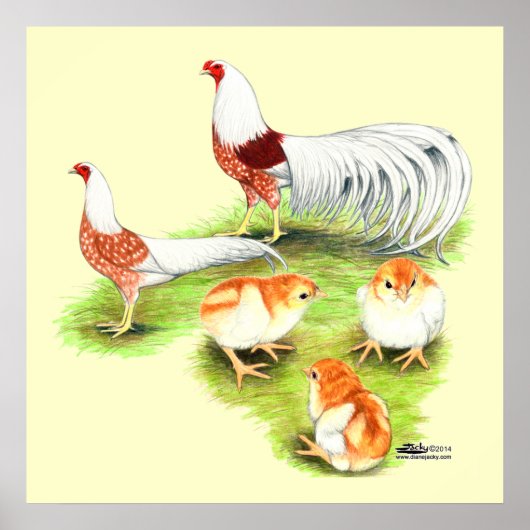 Yokohama Red Shoulder Familie Poster (Voorkant)