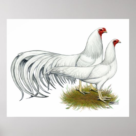 Yokohama's: White Pair Poster (Voorkant)