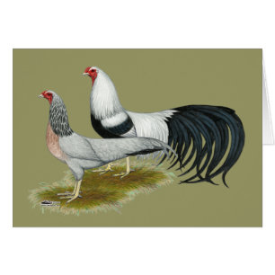 Yokohama's: Zilver met de klok mee