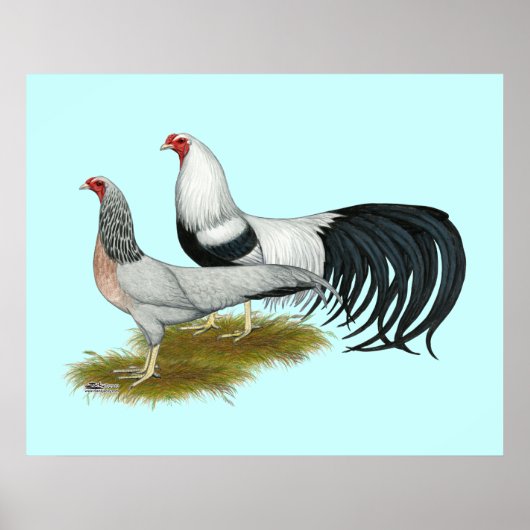 Yokohama's: Zilver met de klok mee Poster (Voorkant)