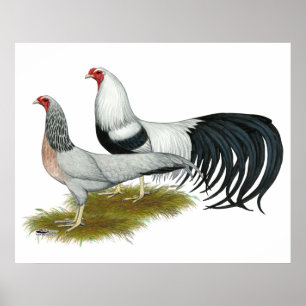 Yokohama's: Zilver met de klok mee Poster