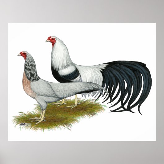 Yokohama's: Zilver met de klok mee Poster (Voorkant)