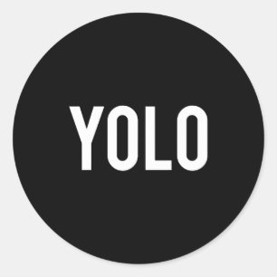 Yolo - Coole Nieuwe Hip Hop Rap Grappig Cadeau T-S Ronde Sticker