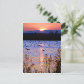 Yolo Wildlife Area Briefkaart (Staand voorkant)