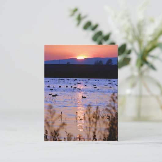 Yolo Wildlife Area Briefkaart (Staand voorkant)