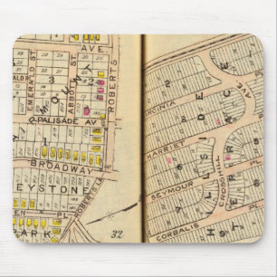 Yonkers, New York 8 Muismat