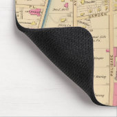 Yonkers wards 2-3, New York Muismat (Hoek)