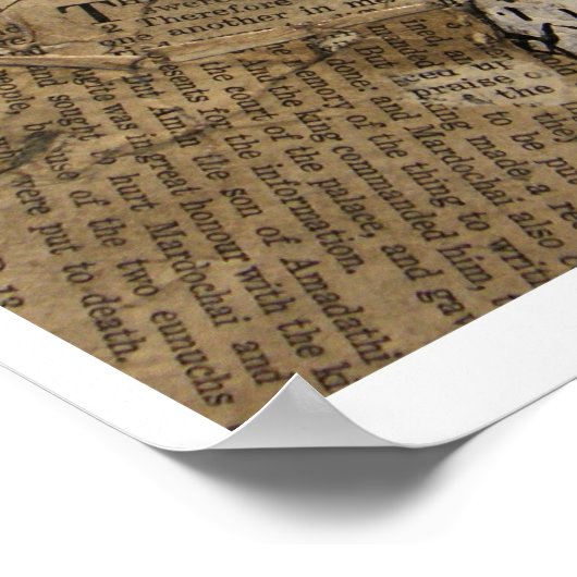 Yorick#2 Poster (Hoek)