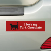 York chocolade liefde bumpersticker (Op auto)