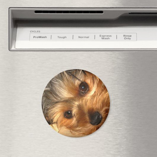 York Eyes Magnet (Insitu (Vaatwasser))