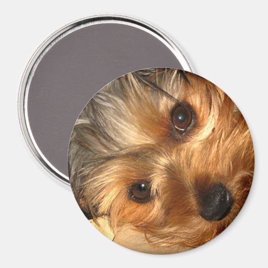 York Eyes Magnet (Voorkant / Achterkant)