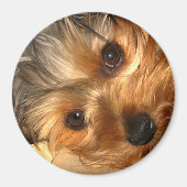 York Eyes Magnet (Voorkant)