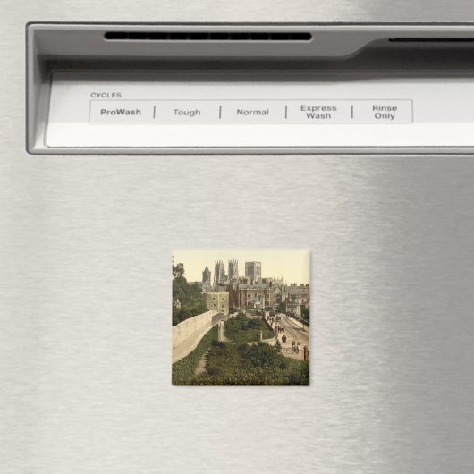 York I, Yorkshire, Engeland Magneet (Insitu (Vaatwasser))