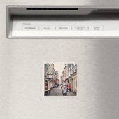 York Magnet (Insitu (Vaatwasser))