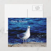 York, Maine Briefkaart (Voorkant / Achterkant)