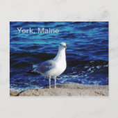 York, Maine Briefkaart (Voorkant)