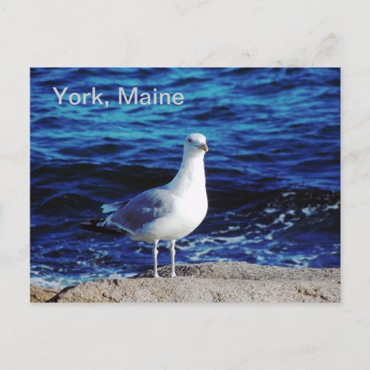 York, Maine Briefkaart (Voorkant)