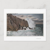 York, MaineView of Bald Head Cliff, ME Briefkaart (Voorkant)