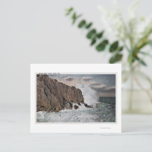 York, MaineView of Bald Head Cliff, ME Briefkaart (Staand voorkant)