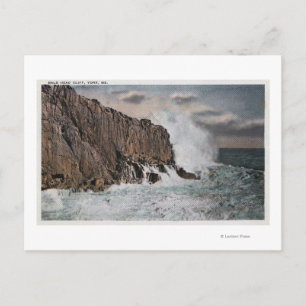 York, MaineView of Bald Head Cliff, ME Briefkaart