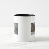 York, MaineView of Bald Head Cliff, ME Mok (Midden)