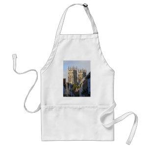 York Minster England Standaard Schort