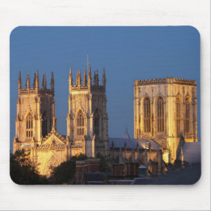 York Minster Muismat