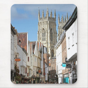 York Minster Muismat