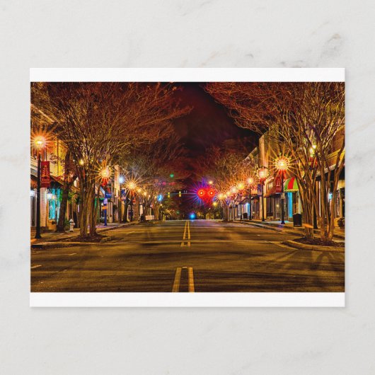 York South Carolina White roos City Kerstlicht Feestdagenkaart (Voorkant)