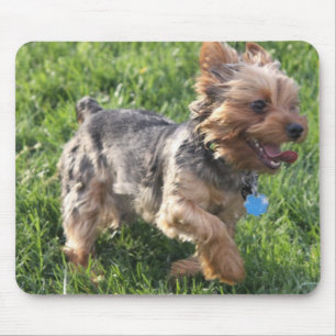 York Terrier Dog Muismat