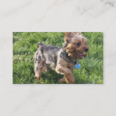 York Terrier Dog Visitekaartje (Achterkant)