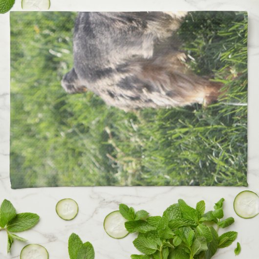 York Terrier Kitchen Towel Theedoek (Gevouwen)