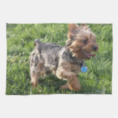 York Terrier Kitchen Towel Theedoek (Horizontaal)