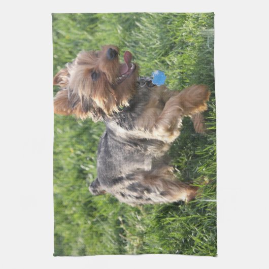York Terrier Kitchen Towel Theedoek (Verticaal)